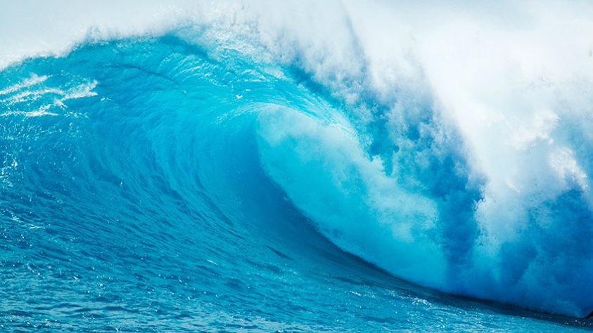 CALL FOR ACTION AT UN OCEAN CONFERENCE