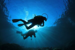 ABOUT THE OCEAN CONFERENCE