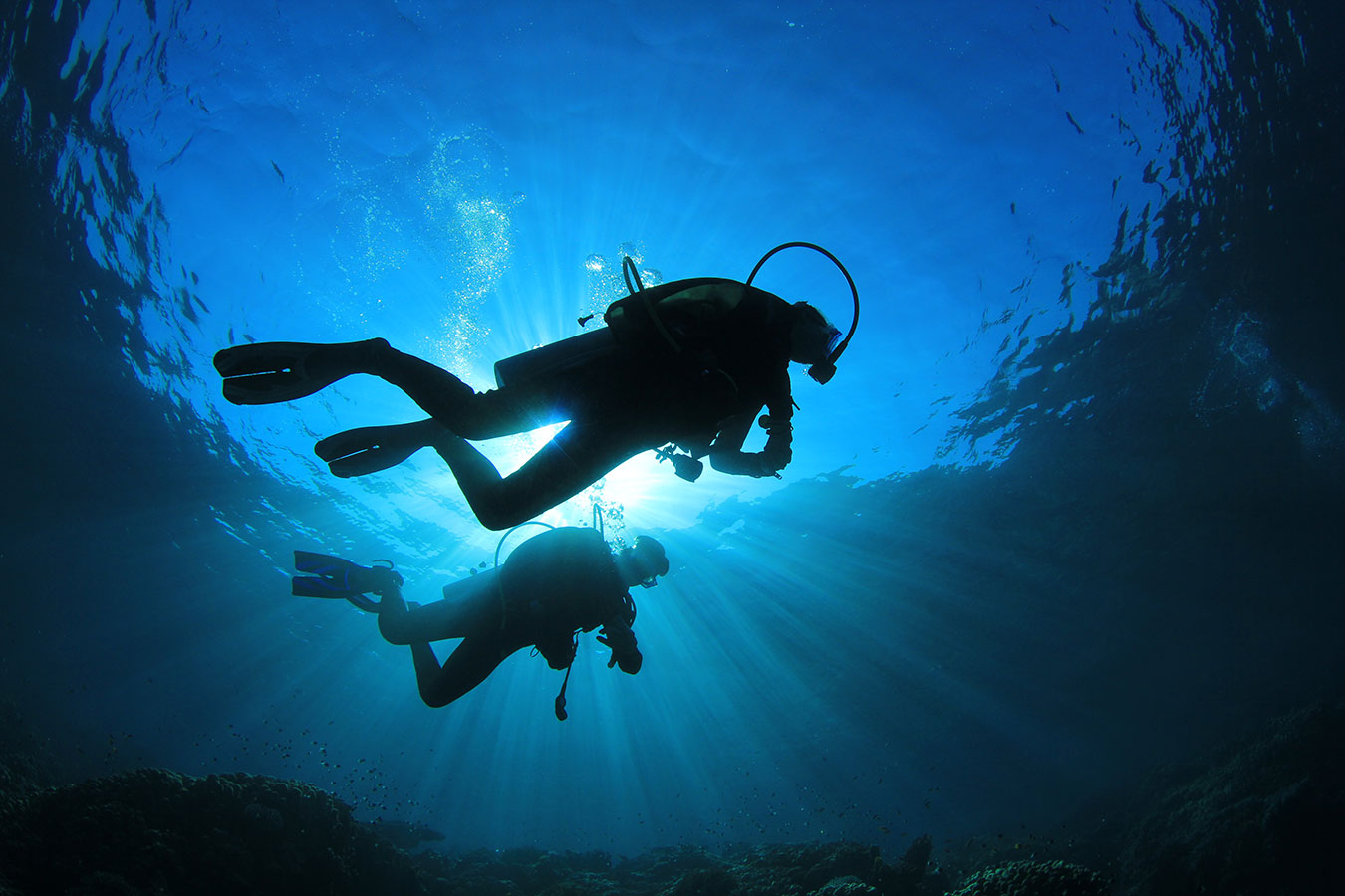 ABOUT THE OCEAN CONFERENCE
